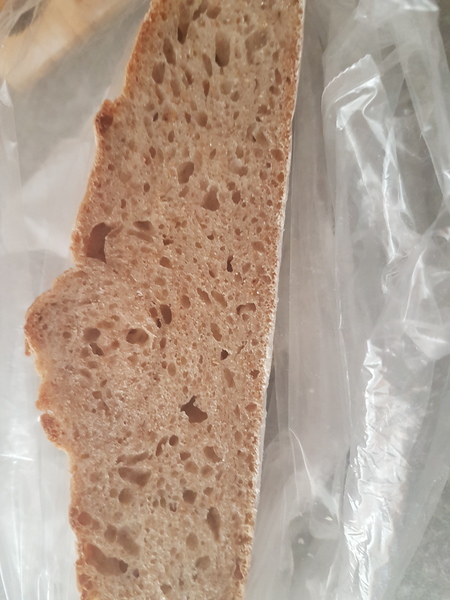 Sourdough rising problems