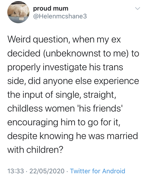 A question from a Trans Widow