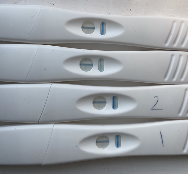 Pregnancy test results