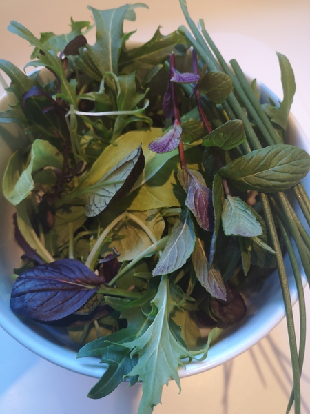 Jan '20 - Low Carb Bootcamp - The finish line!