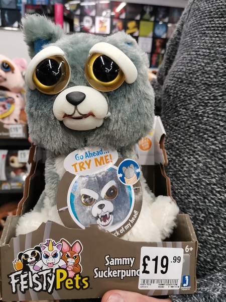 Experience with rabbits??