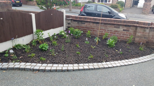 April Amigos Accounting Achievements and Adaptability