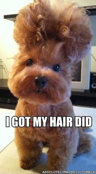 Aibu to be annoyed about a trip to the hair dressers?