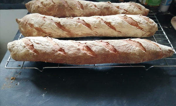 Frugal Foodies, thread 3! Favourite leftover dishes, avoiding waste, menu ideas. Plus pets, and other chat.