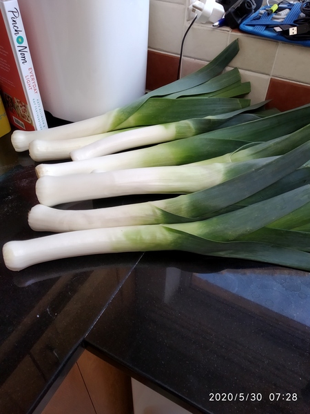 The Lockdown Saving and Spending Continues! May Frugaleers continued