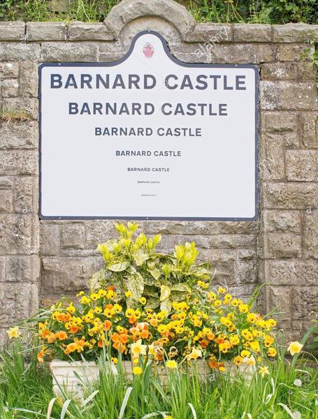 Barnard Castle trip advisor 😂
