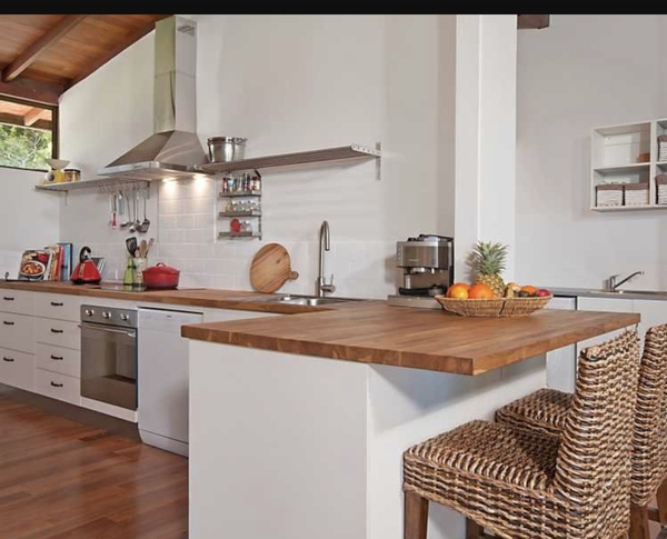 Kitchen plan....any thoughts ?