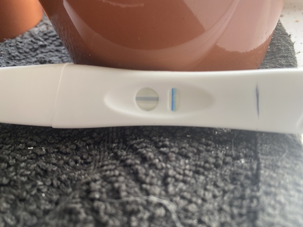 Pregnancy test results