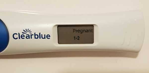 Does anyone have a photo of a pregnancy test BEFORE they peed on it?