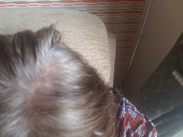 Home hair dye help