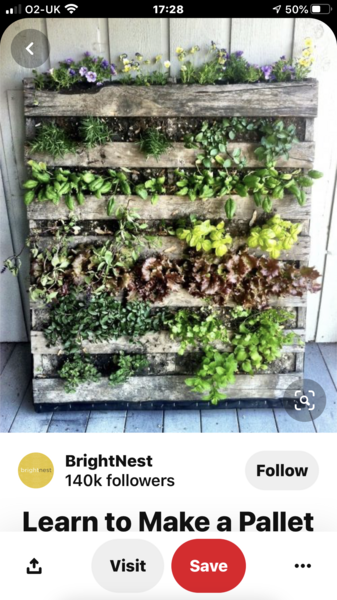 What can I do with my tiny garden