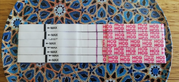 Penguin huddle 🐧🐧🐧 TTC after pregnancy loss - Thread 35 - time for some sticky BFP's