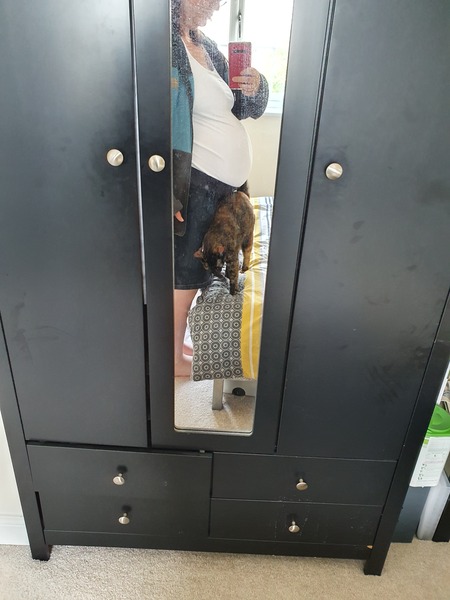 Due June 2020: thread 7. The one where babies appear