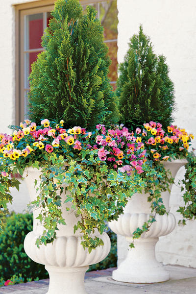 Any ideas what I could put in these pots?