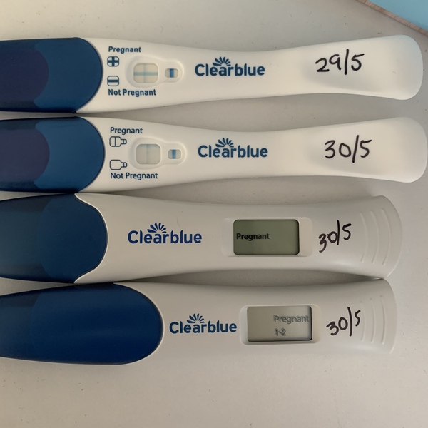 FEBRUARY 2021 DUE DATE