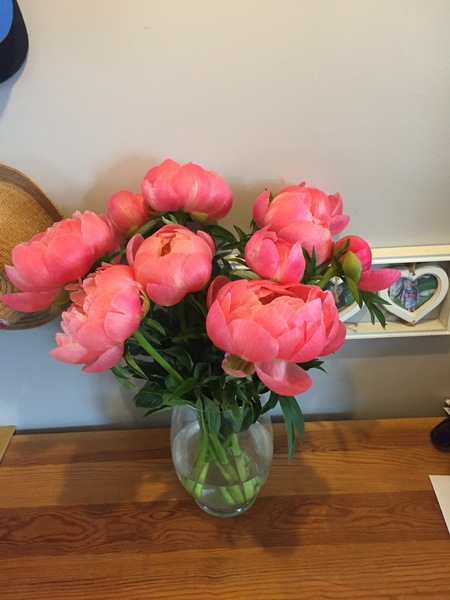 Peonies