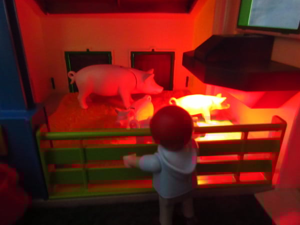 An outbreak of Covid-19 has occurred for the Playmobil people in our house...