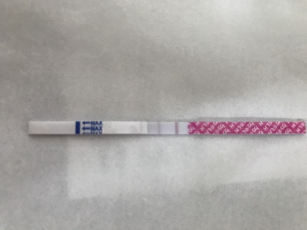 Catching up - ttc after miscarriage part 3