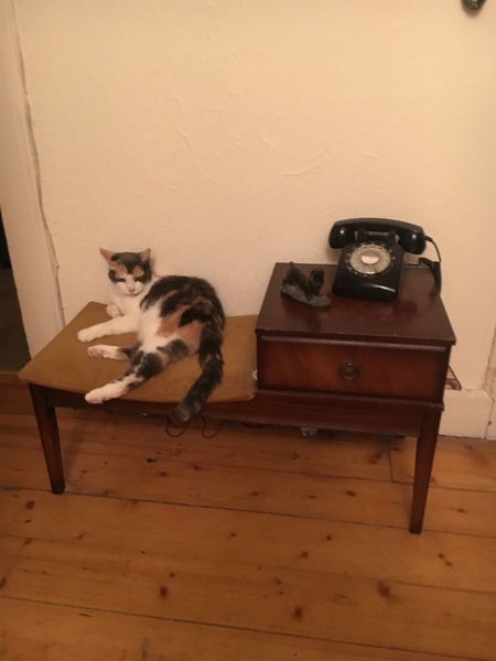 Landline and Retro Dial Phone