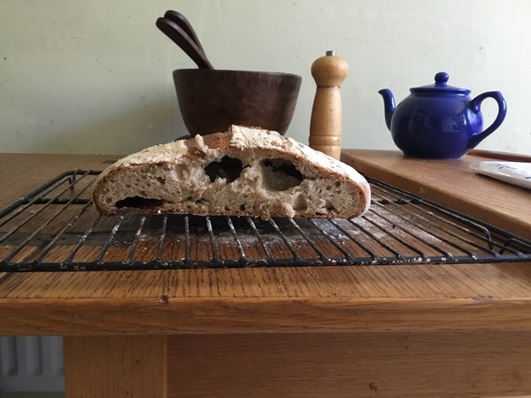 Calling sourdough starter experts!