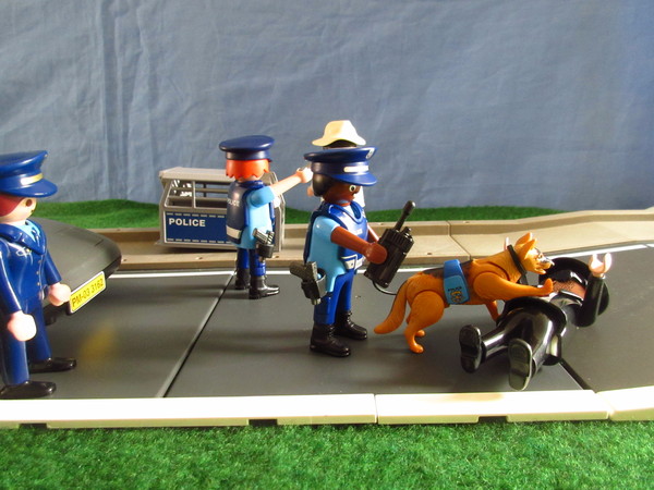 Playmobil pandemic in our house part 2