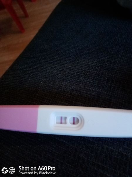 Sperm meets egg plan success?