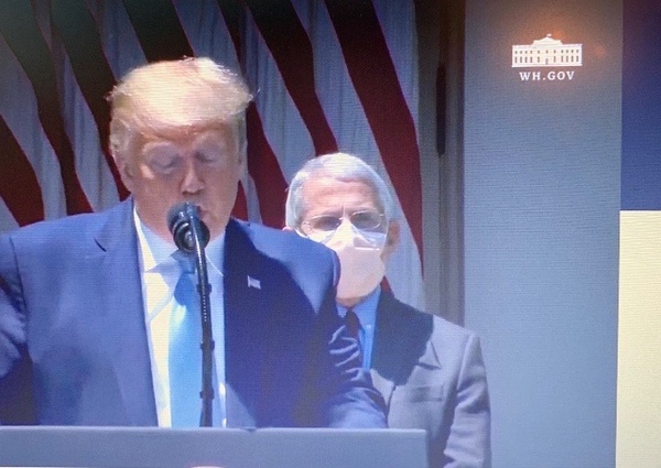 Trump 100 Thread and We're Way Down the Rabbit Hole.