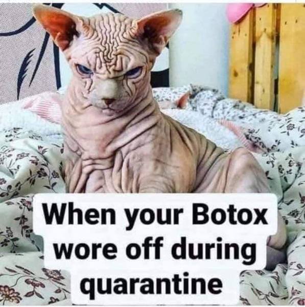 My Botox is running out!