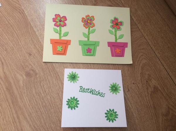 Please give me your opinion on my cards