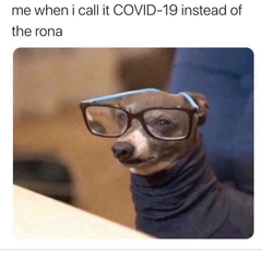 AIBU to ask for your favourite isolation memes?