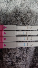 Ovulation or pregnant?
