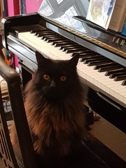 What's your DCat up to today? (Thread 7!)