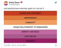 What do you think about the rainbow flag?