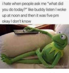 AIBU to ask for your favourite isolation memes?