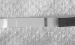 Anyone want to join me...2dpo