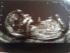 New thread for the crazy gang - Part 5!