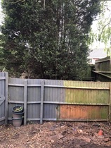 Can I adopt a tiny bit of land at the bottom of my garden (photos attached)