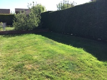 If this was your garden what would you do with it?