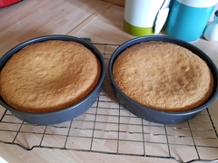 That's it. I just cannot bake.