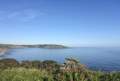 Any Witches Here? Part 11