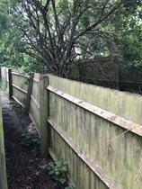 Can I adopt a tiny bit of land at the bottom of my garden (photos attached)