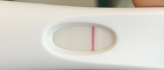 Faint BFP, period, Faint BFP again...
