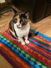 Crochet blanket - where to start