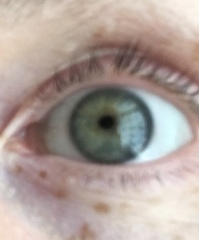 Properly violet or green eyes?