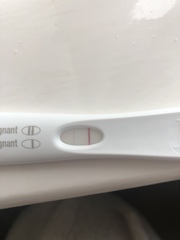 Is it positive?