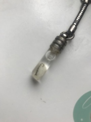 Too ask if anyone knows what this is ?