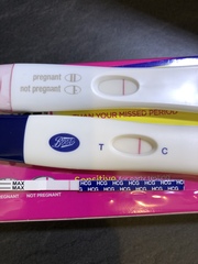 Pregnancy test results