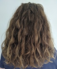 ➿ Fantastic Haircare: Making Sense and Science of the Curly Girl Method