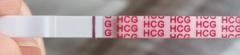 Am I going crazy or is there a line??????