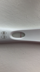 6 months TTC